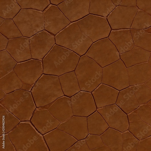 Dry cracked earth surface