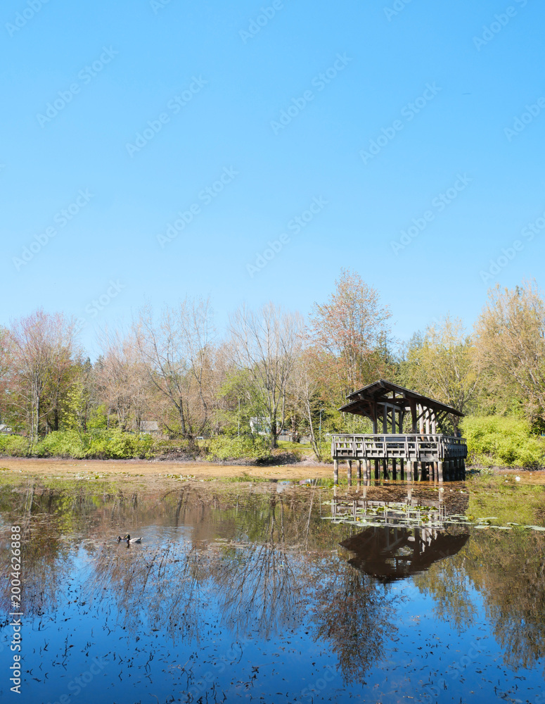 Obraz premium Fishtrap Creek Park during a spring season in Abbotsford, British Columbia, Canada