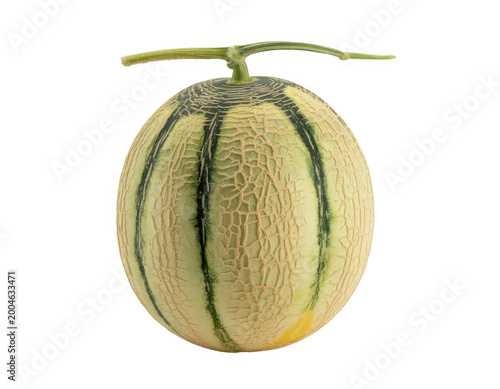 A whole ripe cantaloupe melon with a green stem isolated on a plain white background