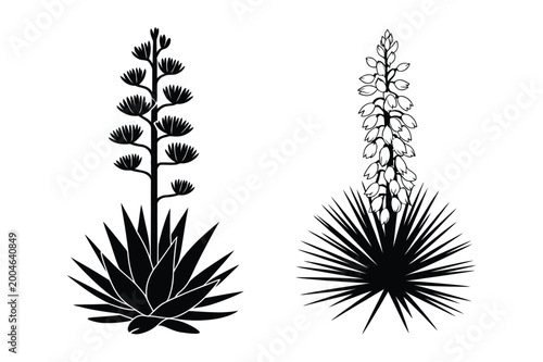 Flowering agave and yucca desert plant silhouettes vector illustration