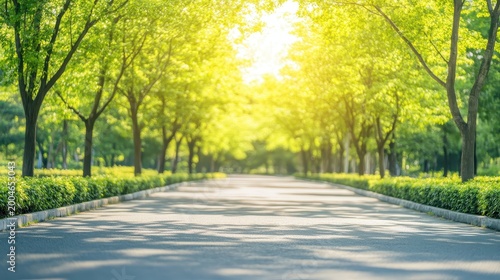 A sun-drenched pathway lined with vibrant green trees, creating a peaceful and inviting natural avenue for walking and enjoyment.