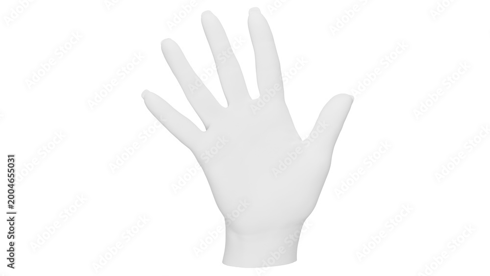 Obraz premium 3d rendering female hand 