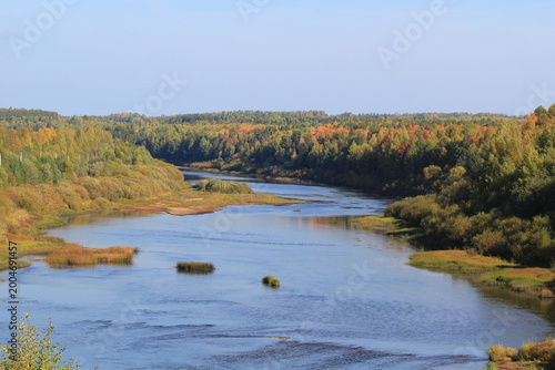 a river in an autumn forest on a sunny day