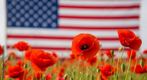 Poppies in bloom with american flag background memorial day remembrance