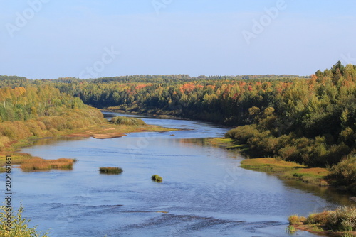 a river in an autumn forest on a sunny day