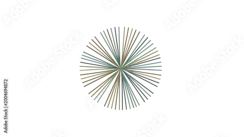 Fotografi Radial pattern of thin, elongated lines emanating from a central point