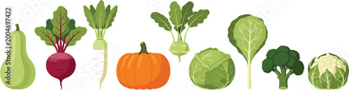 Photography Fresh Organic Garden Vegetable Collection Featuring Pumpkin, Broccoli, Cabbage,