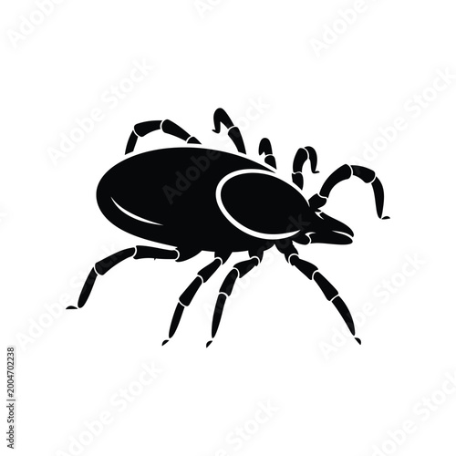 Photos Tick silhouette on a white background black insect vector