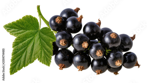 Canvas Print Cluster of ripe blackcurrants with a green leaf, isolated on transparent backgro