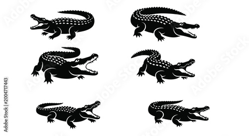 alligator silhouettes in various poses on white background high quality professional