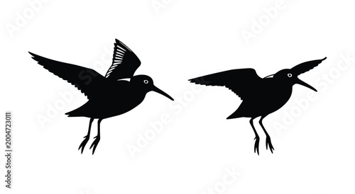 Photos Flying Sandpiper Bird Silhouette Set - Coastal Shorebird Vector Illustration