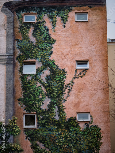 Ivy climbing a historic stucco building facade