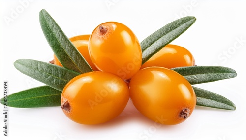golden sea buckthorn berries with green leaves isolated white background