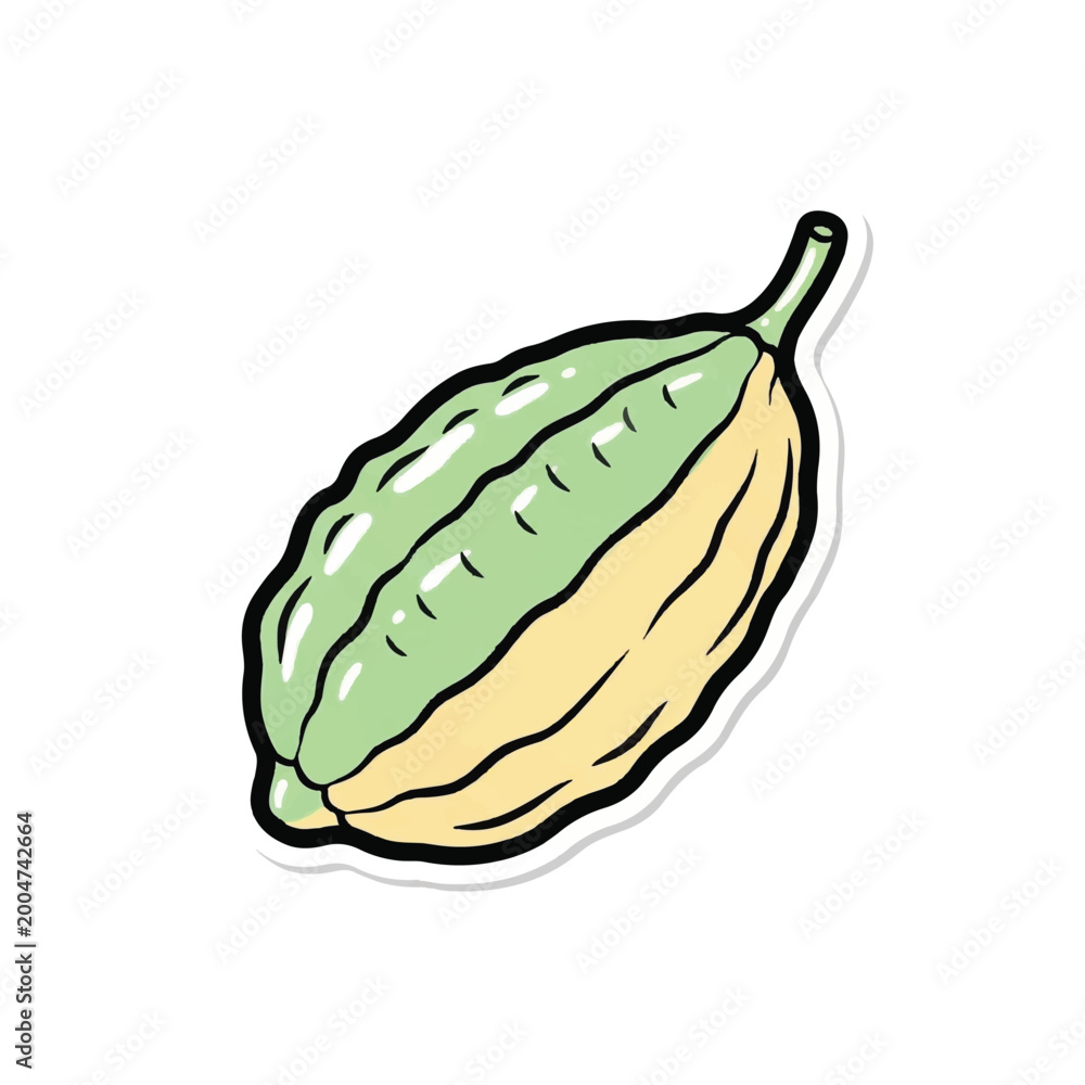 Fototapeta premium Green and Yellow Melon Fruit Illustration.