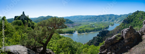 Panoramic view of the Danube river valley and historic castle ruins in the Wachau region, Austria.