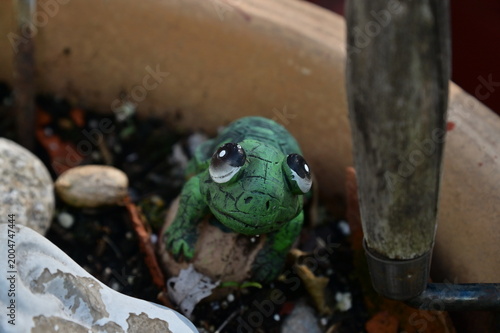 Fotografie Turtle Decoration