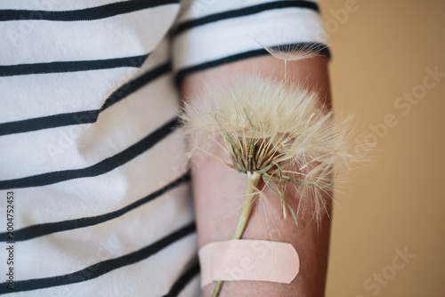 Macro closeup of fluffy dandelion attached to female arm with plaster, visual metaphor of tenderness, healing, emotional softness and skin protection