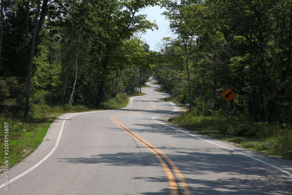 Obraz premium road to Northport in the forest