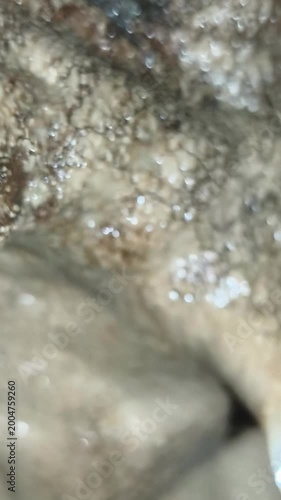 Pozas Azules Cavern Exploration in Mexico
