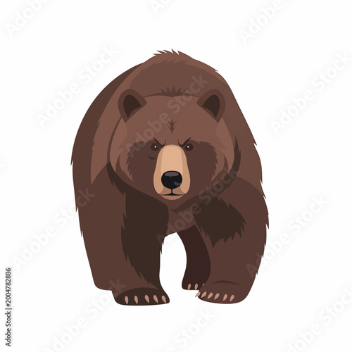 Fotografía Brown bear standing on all fours.