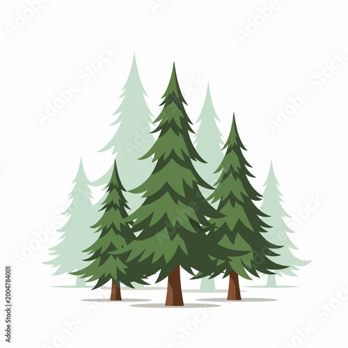 Group of Evergreen Pine Trees Forest.