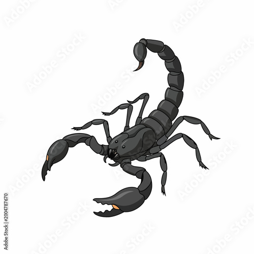 Fotografia Black scorpion side view closeup.