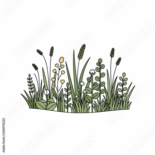 Variety of green grass and plants.