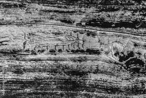 Texture old wooden dark wood black white surface plank backdrop board structure background