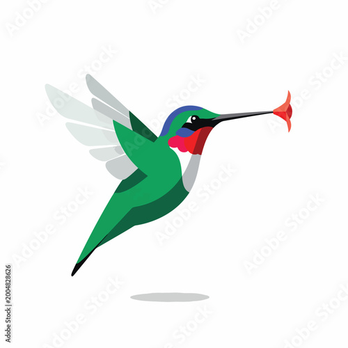 Colorful Hummingbird in Mid Flight.