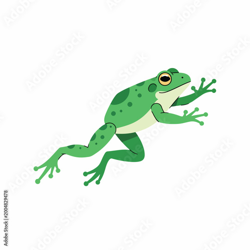 Tableau sur toile Green Frog Amphibian Animal Illustration.