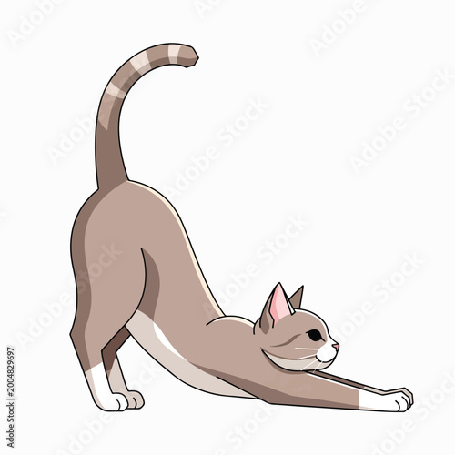 Brown Cat Stretching Downward Facing Dog.