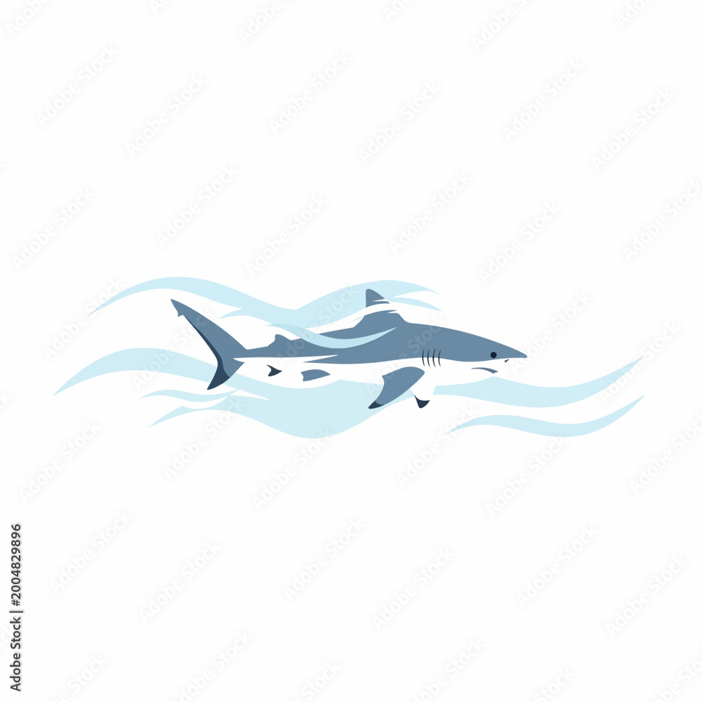 Obraz premium Gray shark swimming in ocean water 1.