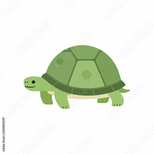 Foto Green turtle walking on ground slowly.