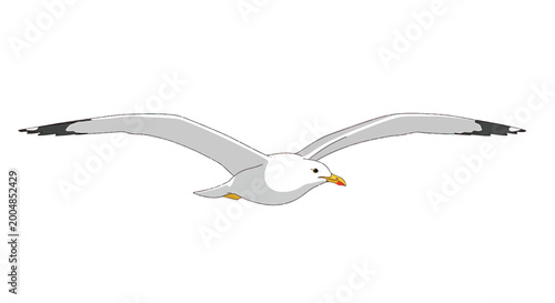 Billede på lærred Seagull flying in the air freely 1.
