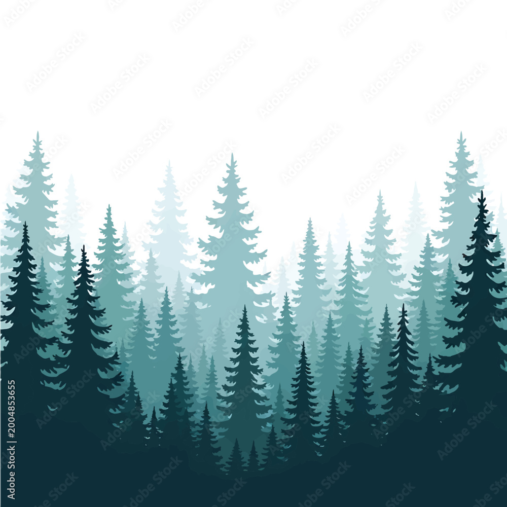 Fototapeta premium Tall Evergreen Pine Trees Forest Silhouette.