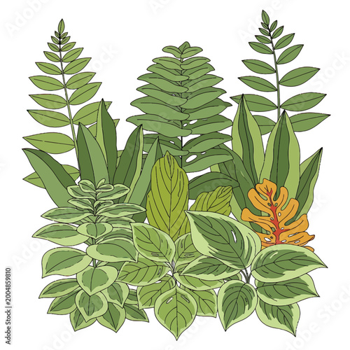 Bilde på lerret Variety of green leafy plants together.