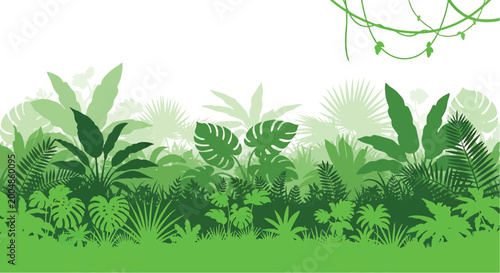 Photos Various green tropical leafy plants.