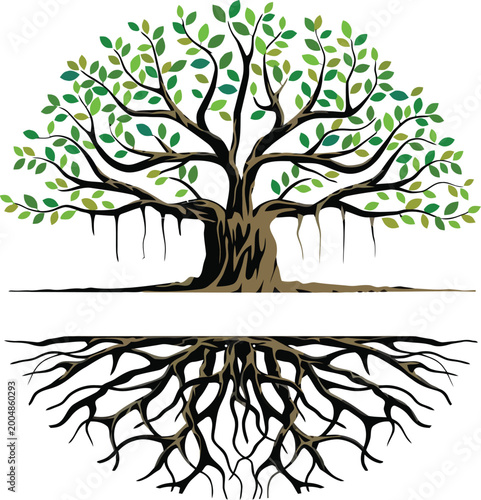 Banyan tree with green leaves and deep roots