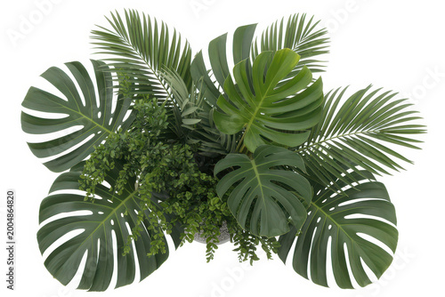 A lush arrangement of tropical green palm and monstera leaves in a decorative ceramic pot
