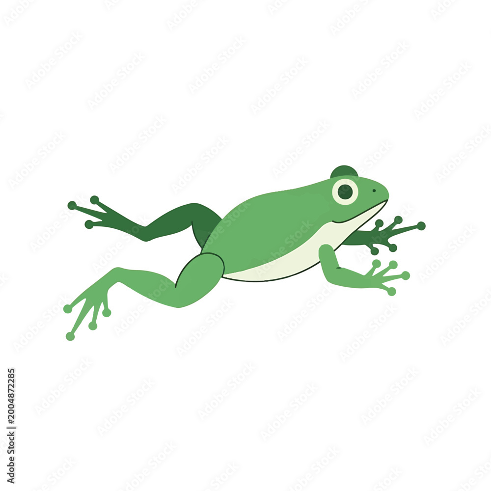 Fototapeta premium Green Frog Amphibian Creature Illustration.