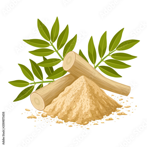 Illustration of Pasak Bumi root or Tongkat Ali, also called Longjack, scientific name Eurycoma longifolia, isolated on white background.
