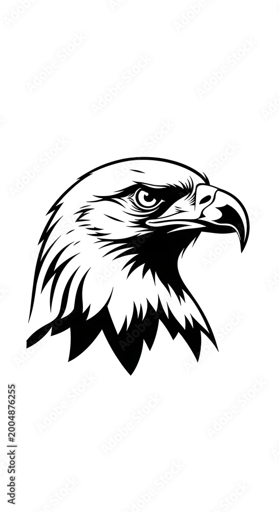 Obraz premium American Bald Eagle Head Illustration.