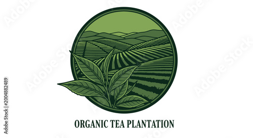 Organic Tea Plantation Logo with Lush Green Tea Leaves and Rolling Hills.