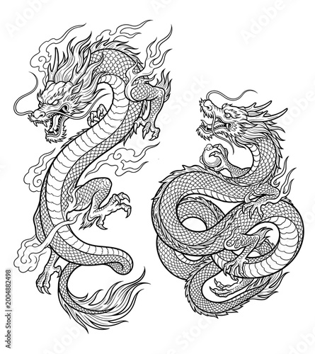 Japanese dragon vector illustration, traditional oriental style line art.