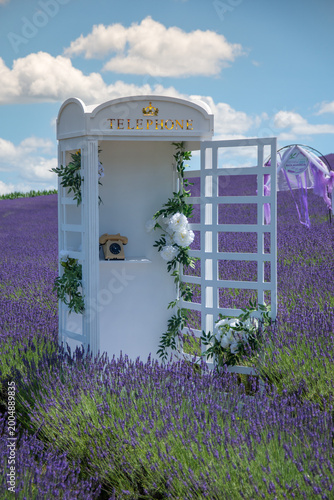 A white telephone booth in Field with lavender flowers in Delureni, Bistrita, Romania, July 2024