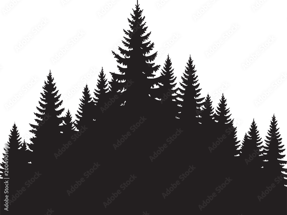 Obraz premium Pine tree forest silhouette, black evergreen trees, nature landscape, vector graphics