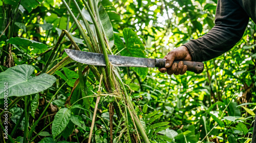 Hand using machete cutting tropical plants in lush jungle environment