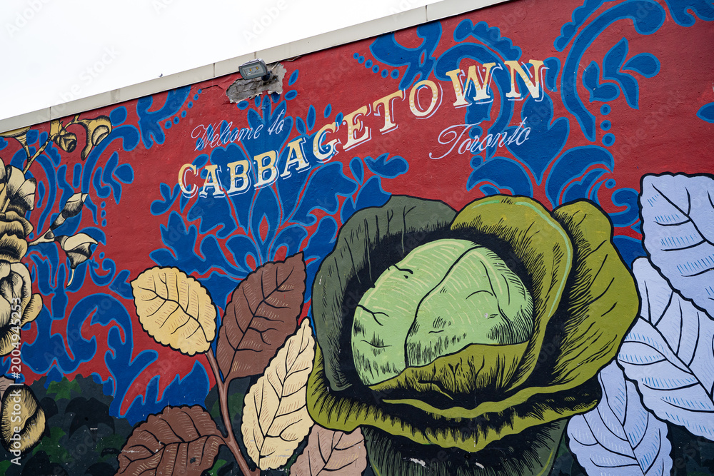 Obraz premium View of Cabbagetown Toronto mural with colorful cabbage illustration. Toronto, Canada - April 29, 2026.