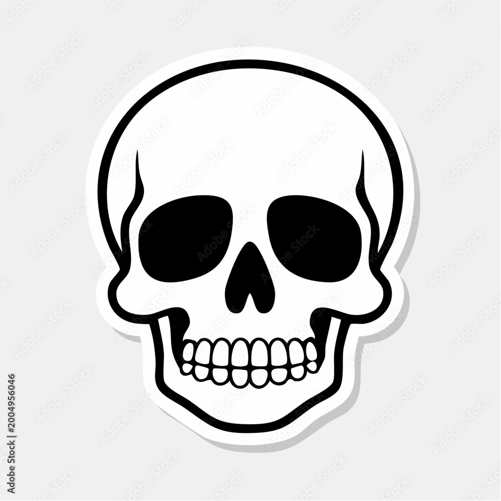 Obraz premium Stylized Skull Illustration