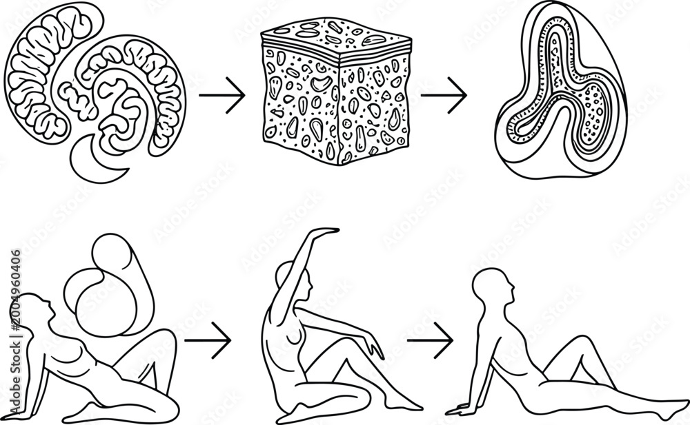 Fototapeta premium Set of 6 Transformation and Movement Icon Illustrations for Conceptual Design and Digital Media Projects